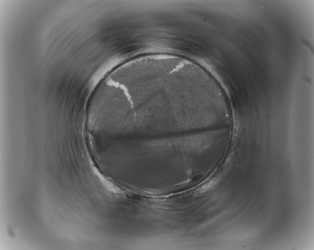 X0000099551245200806131205