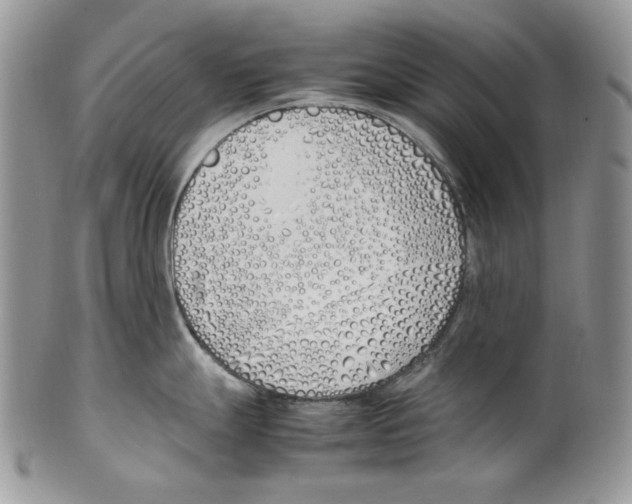 X0000099551247200806131205