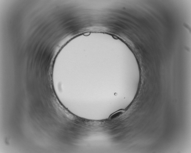 X0000099551248200806131205