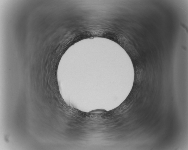 X0000099551249200806131204