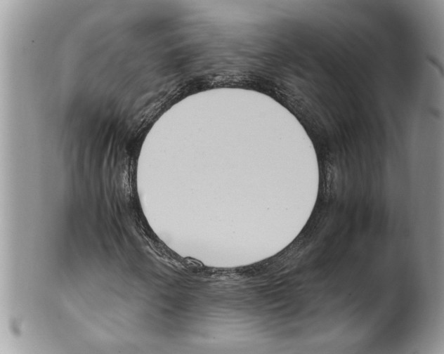 X0000099551250200806131204