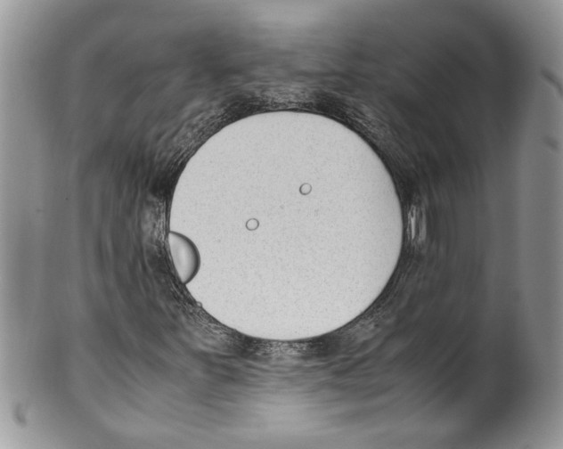 X0000099551251200806131204