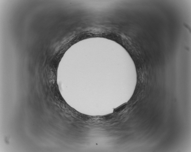 X0000099551253200806131204