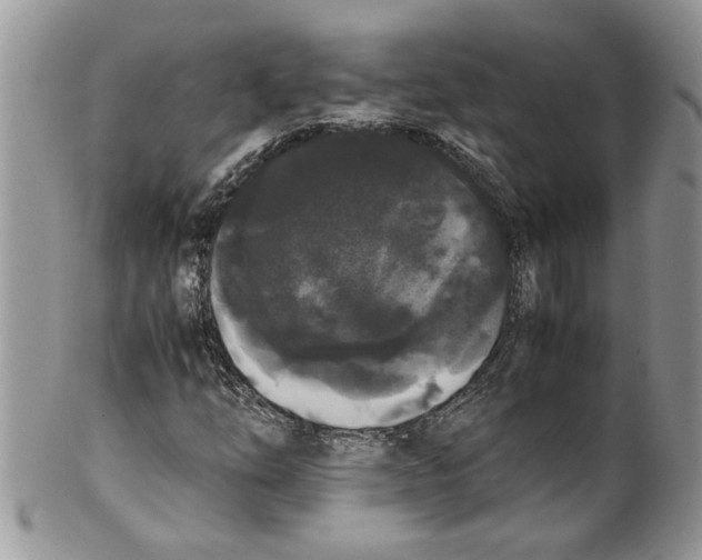 X0000099551254200806131204