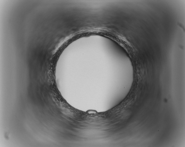 X0000099551256200806131204