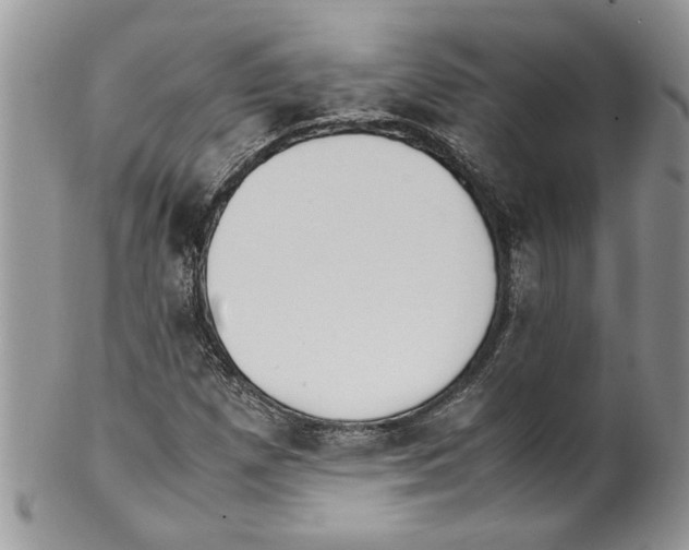 X0000099551257200806131204