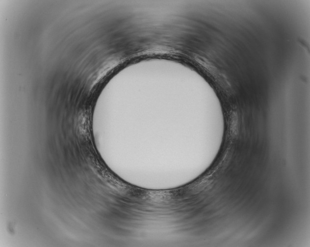 X0000099551258200806131204