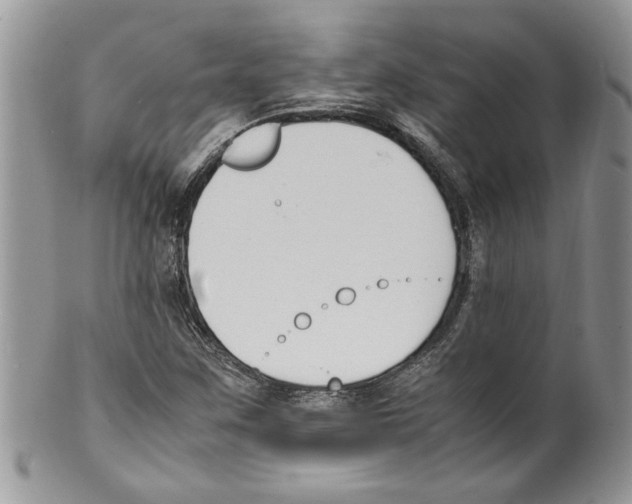 X0000099551259200806131204