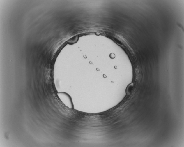 X0000099551260200806131204