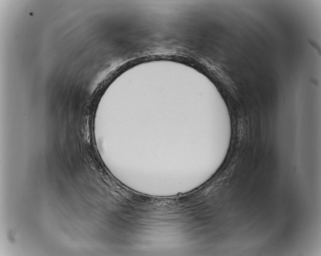 X0000099551262200806131204