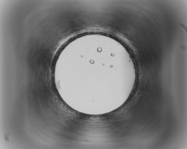 X0000099551264200806131204