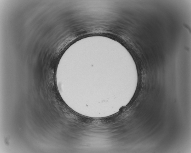 X0000099551265200806131204