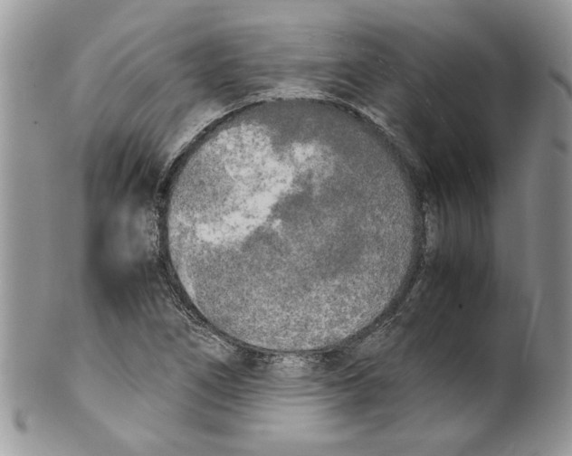 X0000099551266200806131204