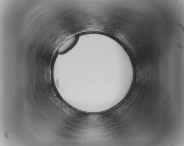 X0000099551268200806131204