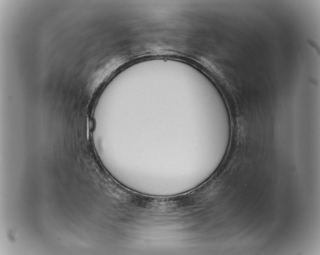 X0000099551269200806131204