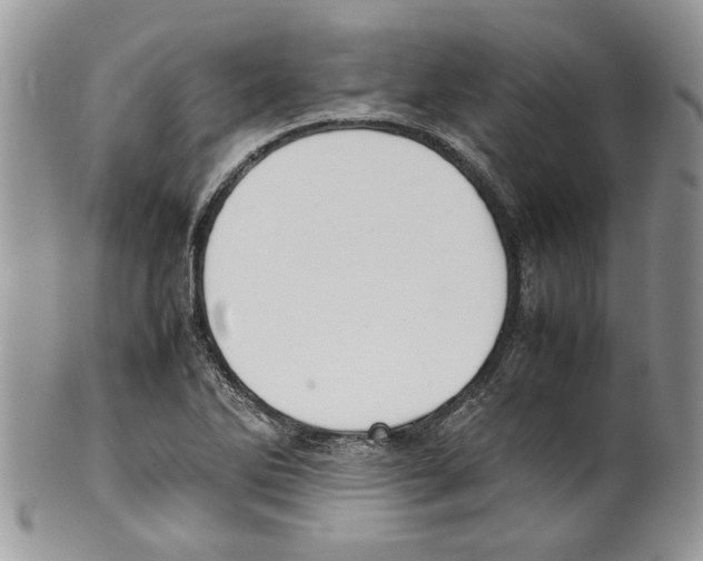 X0000099551270200806131204