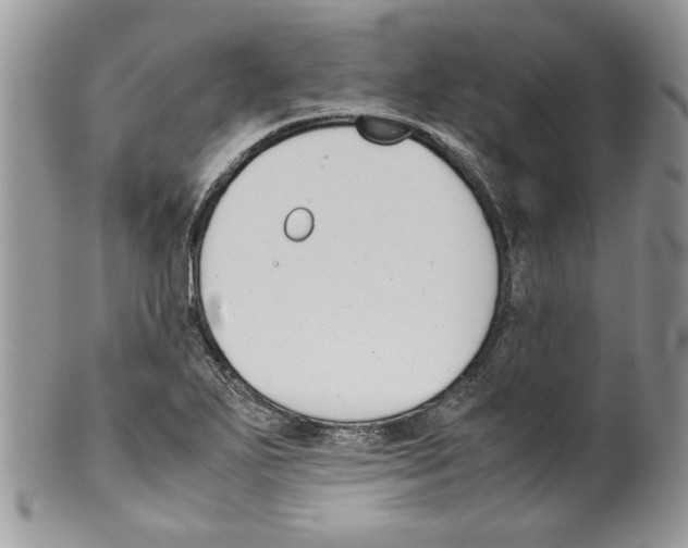 X0000099551271200806131204