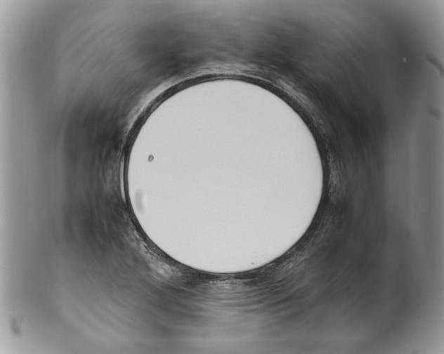 X0000099551272200806131204