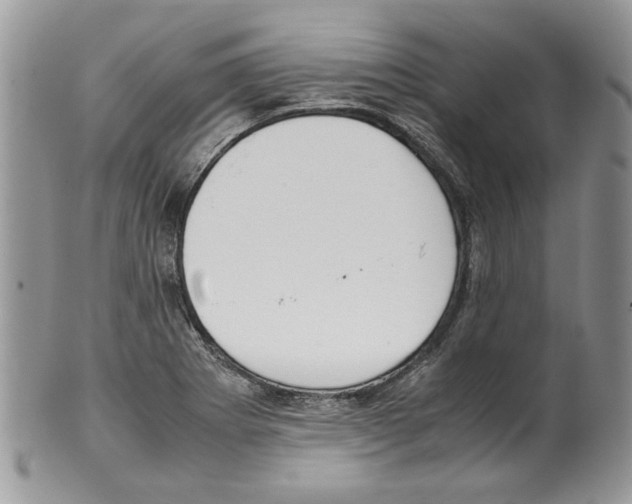 X0000099551273200806131204