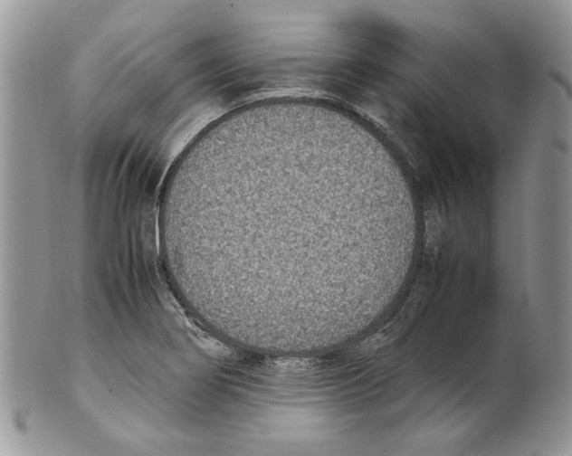 X0000099551274200806131204