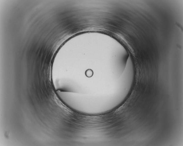 X0000099551276200806131204