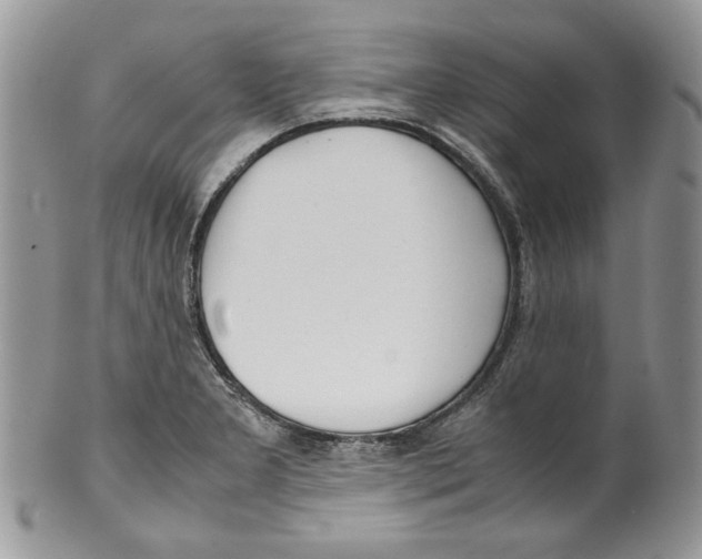 X0000099551277200806131204