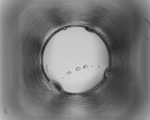 X0000099551280200806131204