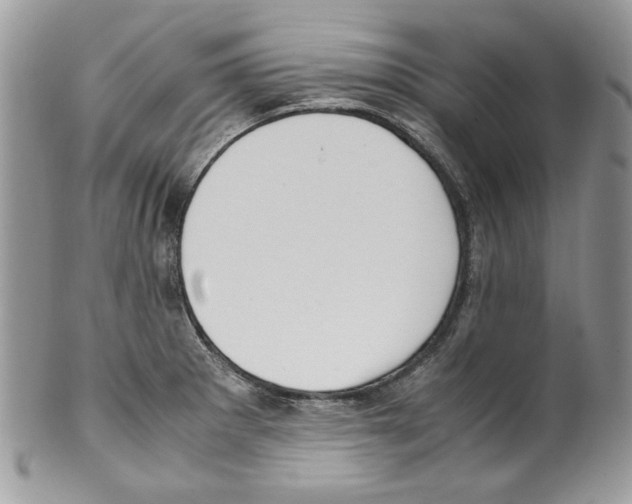 X0000099551281200806131204