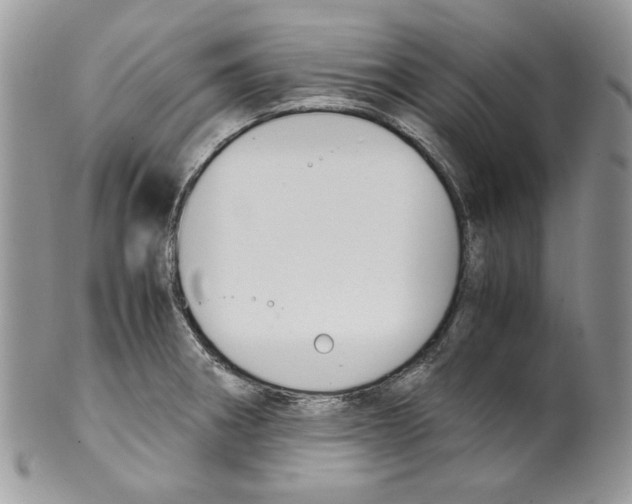 X0000099551282200806131204