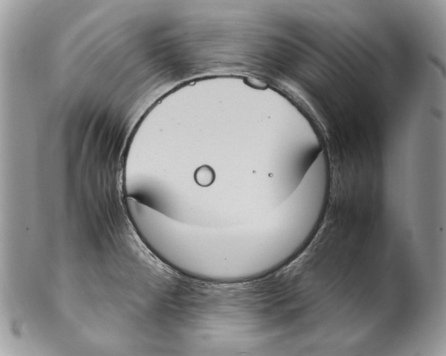 X0000099551284200806131204