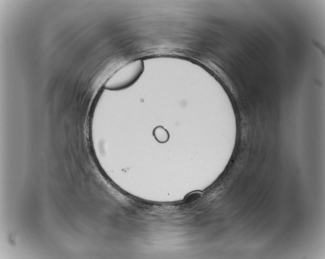 X0000099551285200806131204