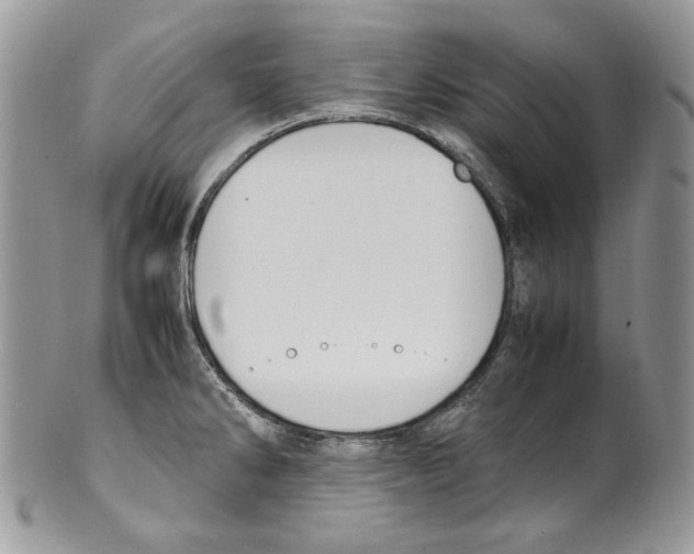 X0000099551286200806131204