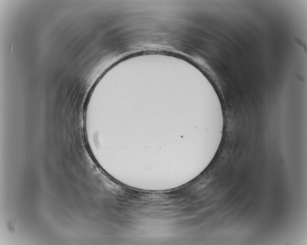 X0000099551287200806131204