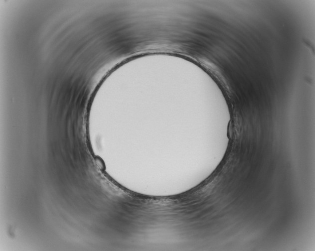 X0000099551288200806131204