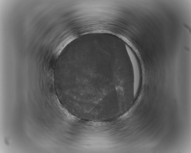 X0000099551289200806131204