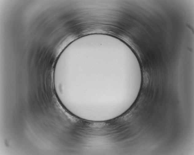 X0000099551290200806131204