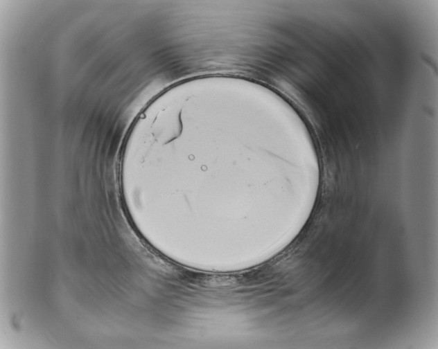 X0000099551291200806131204