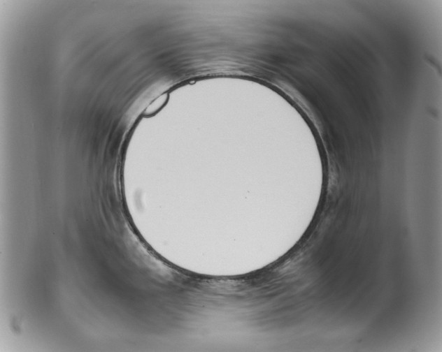 X0000099551293200806131204