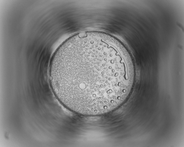 X0000099551294200806131204