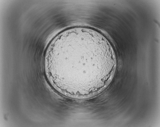 X0000099551295200806131204