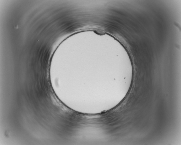 X0000099551296200806131203