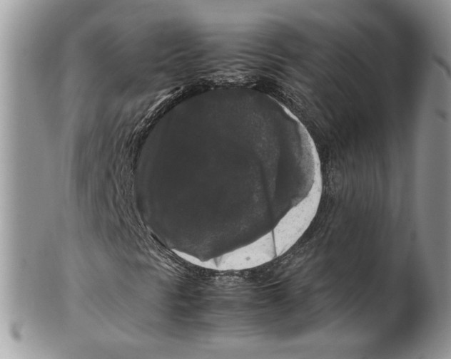 X0000099551297200806131203