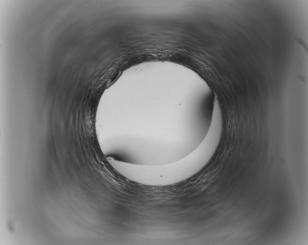 X0000099551298200806131203