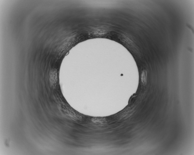 X0000099551299200806131203