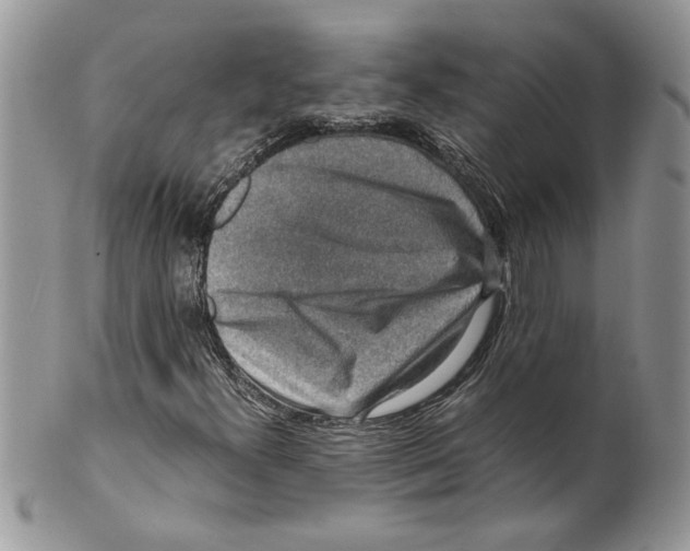 X0000099551300200806131203