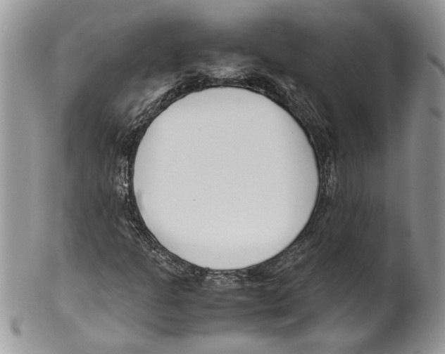 X0000099551301200806131203