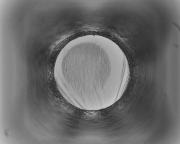 X0000099551303200806131203