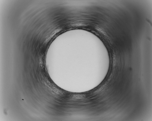 X0000099551305200806131203