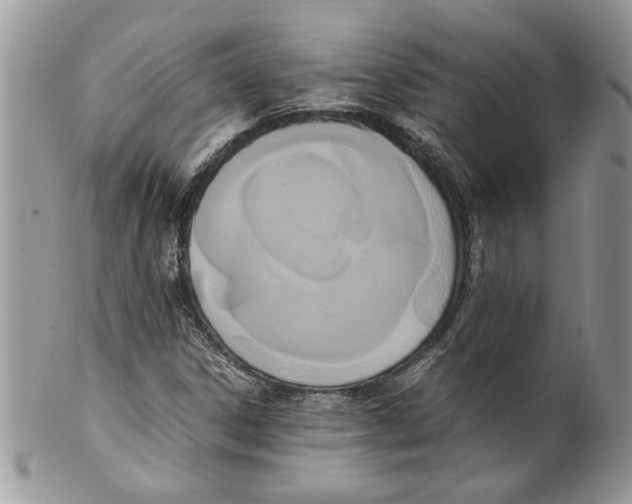 X0000099551306200806131203