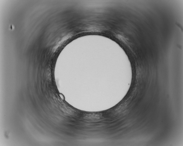 X0000099551307200806131203